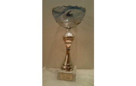 Division Départementale 2010