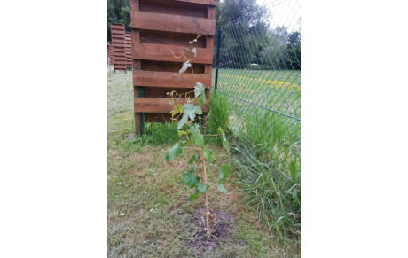 Impardonnable... nous avions oublié.... mais corrigé....