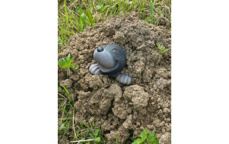 La taupe du Beursault